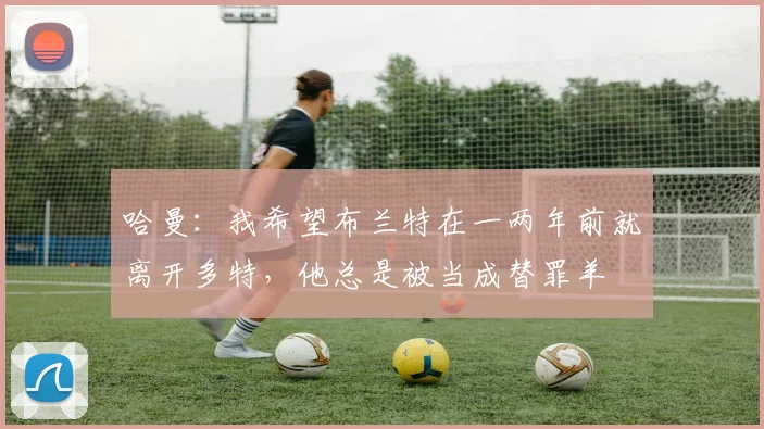 哈曼：我希望布兰特在一两年前就离开多特，他总是被当成替罪羊