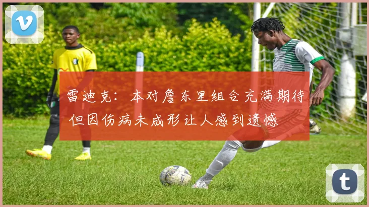 雷迪克：本对詹东里组合充满期待 但因伤病未成形让人感到遗憾